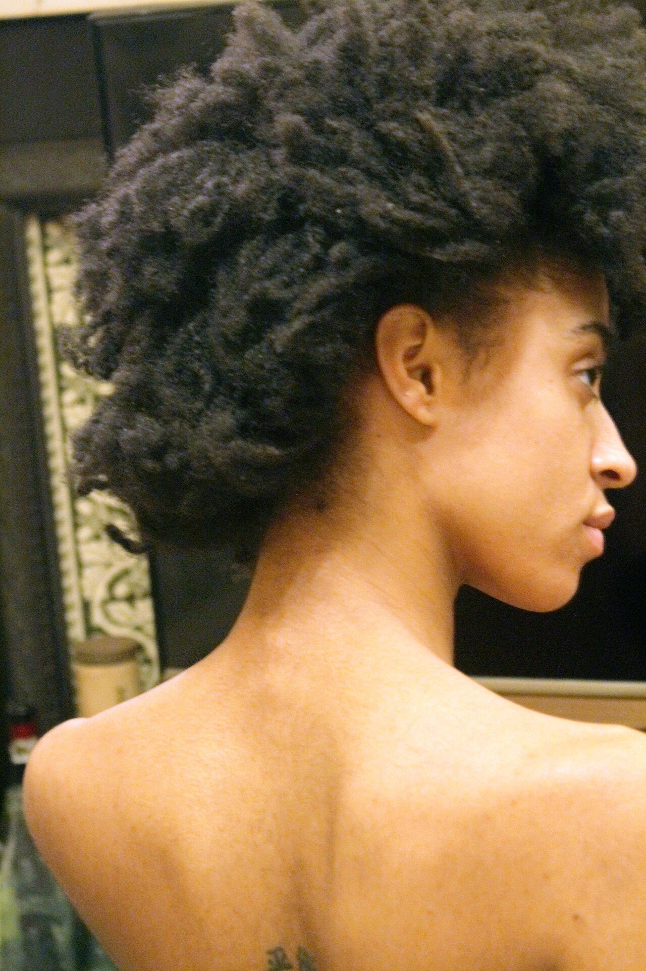 Studio portrait of a model with natural type-4c afro-textured hair.