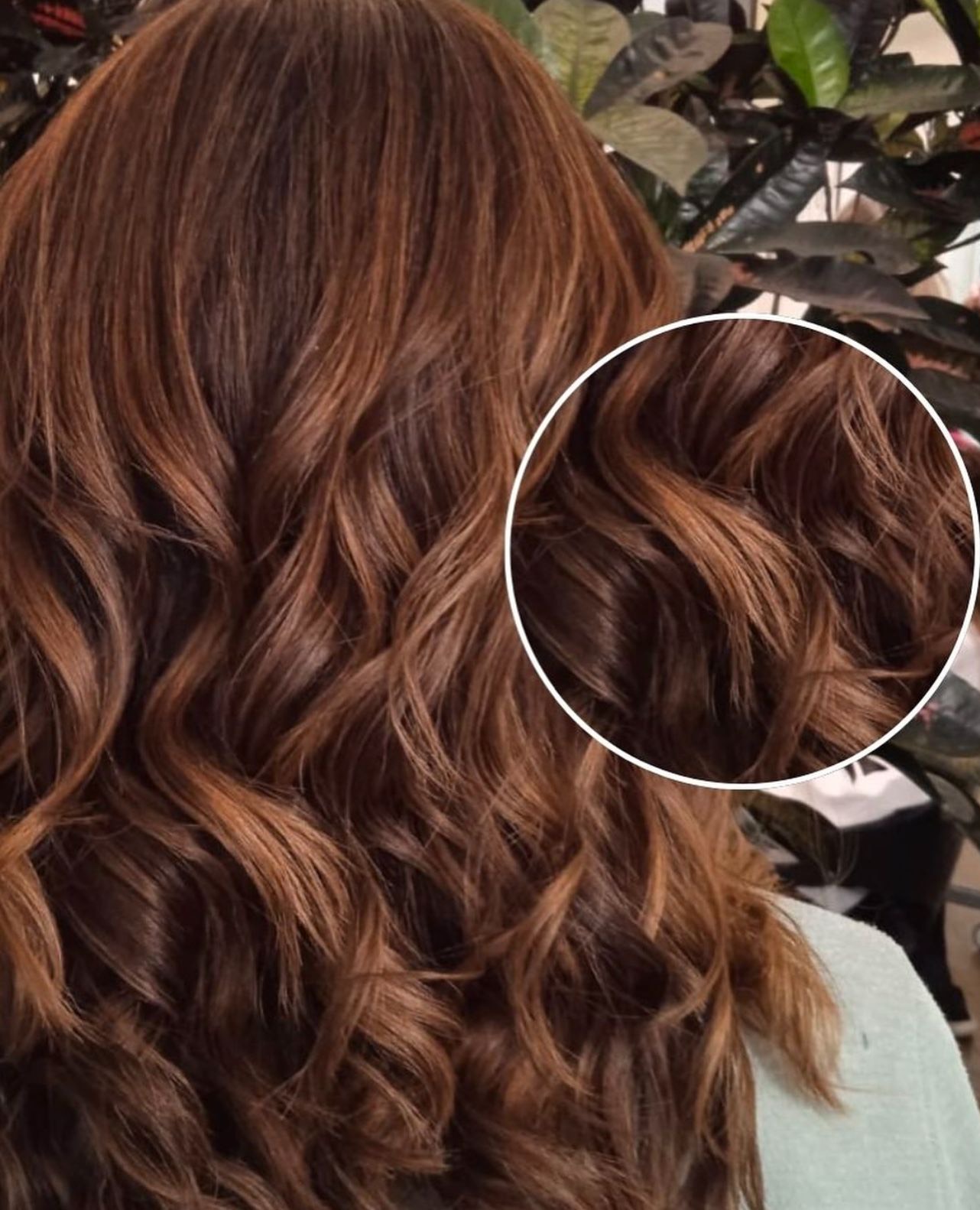 Soft chocolate-balayage hairstyle, natural light.