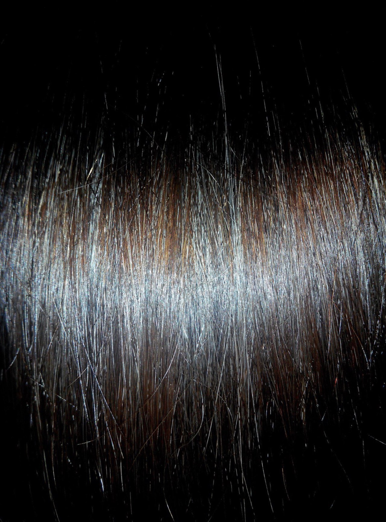 Brunette hair texture, photographed in natural light.