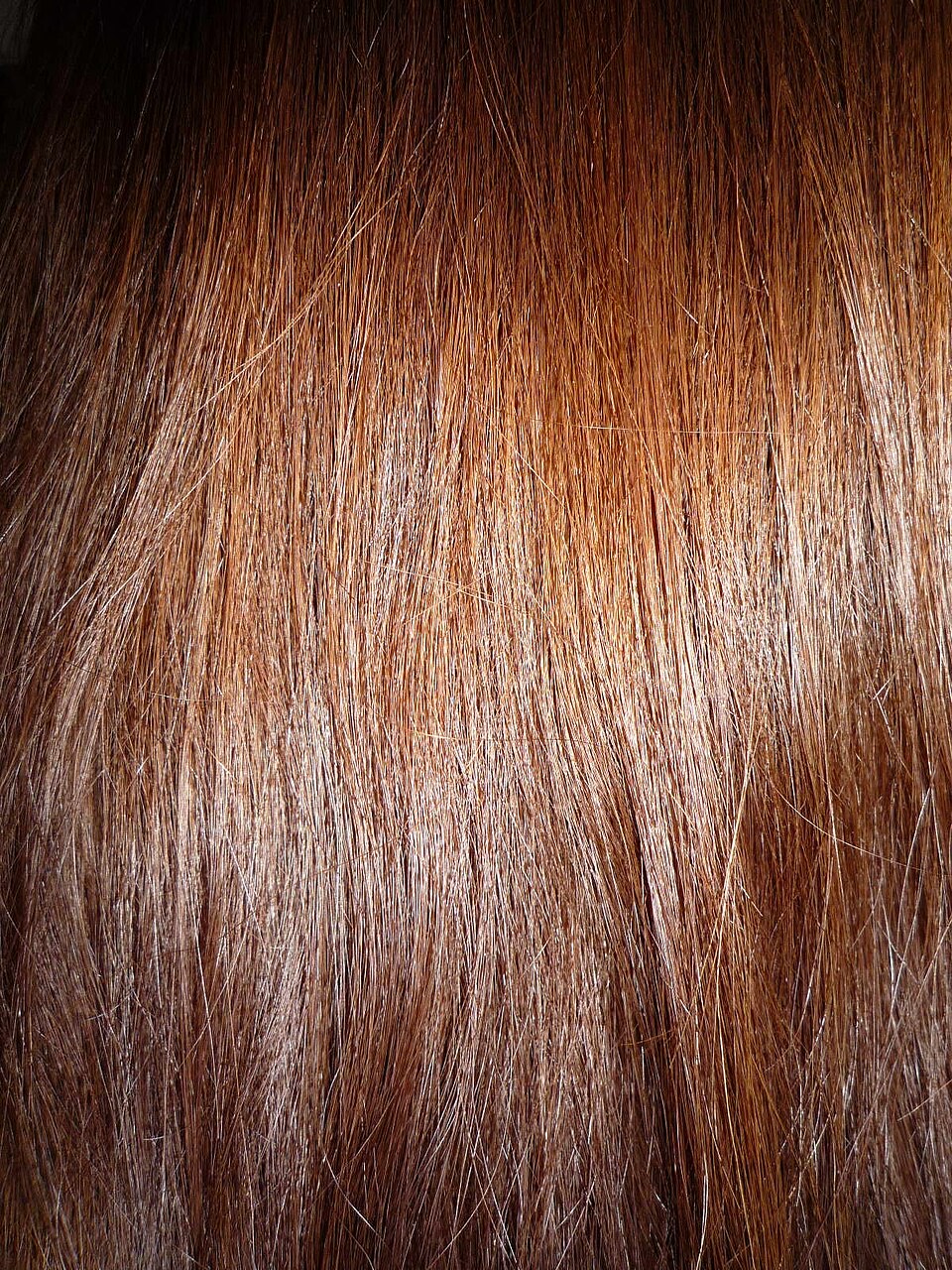 Close-up portrait of long brown hair.